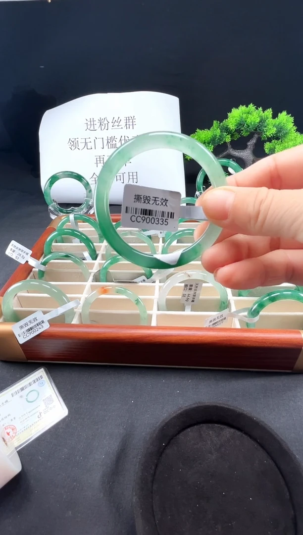 未镶嵌手镯石英质玉（非洲翠）真品上等纯天然非洲翠玉手镯石英质玉