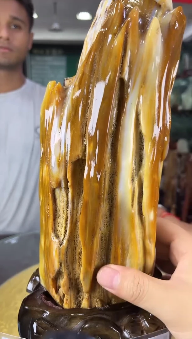 未镶嵌珠宝奇石硅化玉缅甸天然树化玉摆件