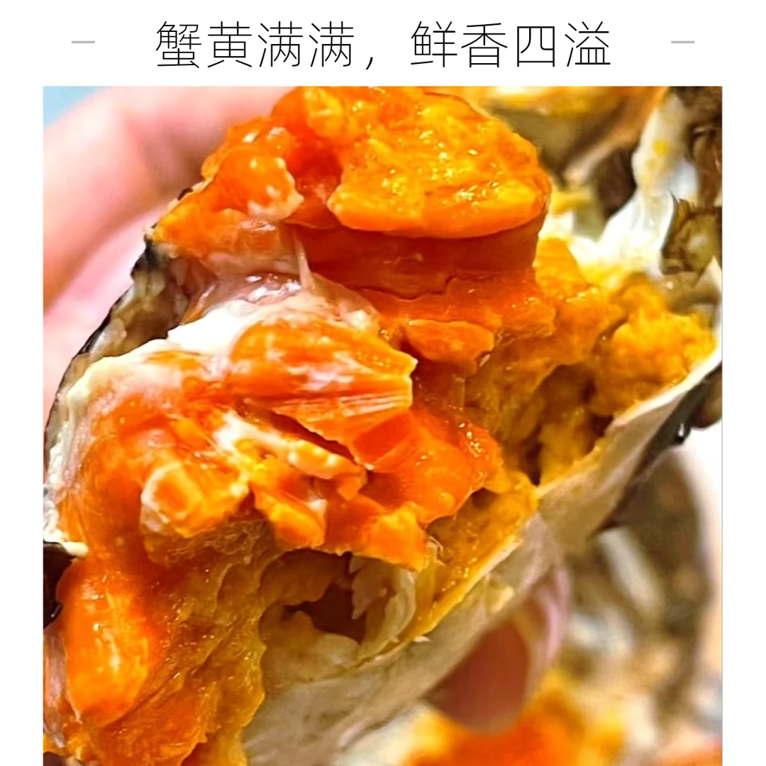 顺丰当日达【特大母蟹3斤】盘锦稻田河蟹（1.6-1.4两/只）肥蟹都有黄纯母3斤装包售后顺丰冷链