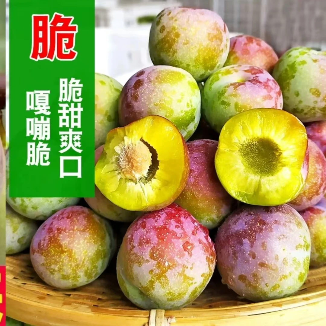 正宗脱骨半边红李子新鲜现摘脆甜多汁应季水果