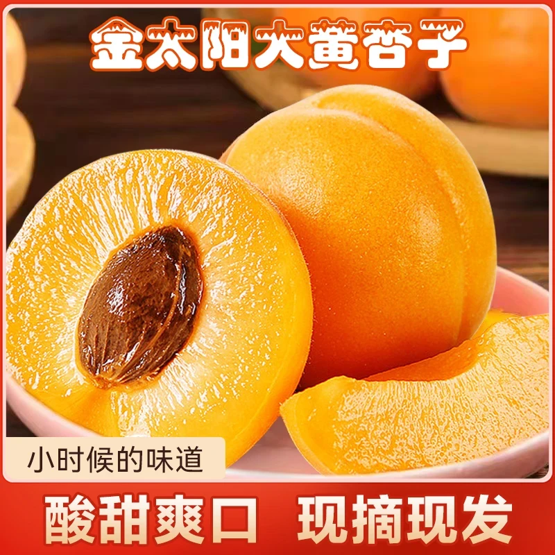 【山乡好杏】金太阳杏大黄杏果园直供酸甜可口京东包邮