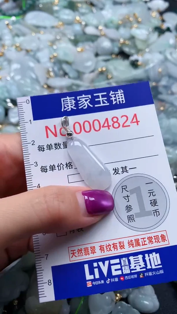 颈饰未镶嵌翡翠4824