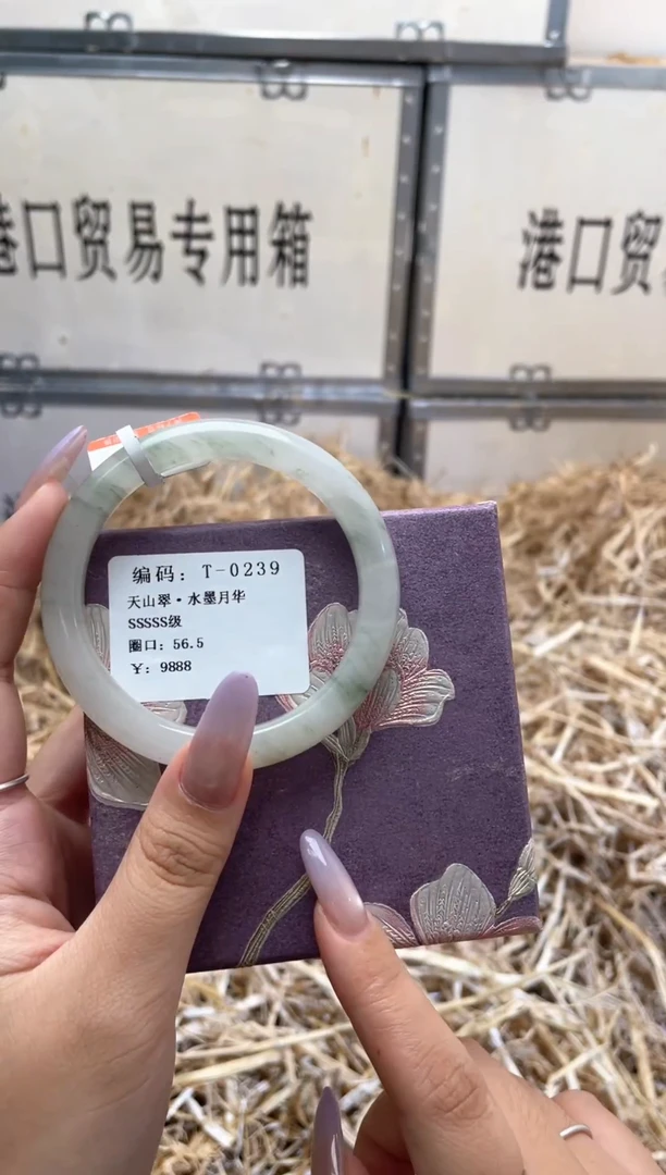 未镶嵌手镯石英质玉T0239