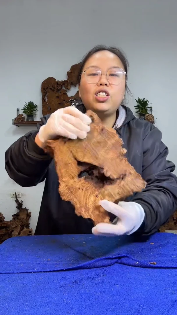 香杉树根瘤板材原料