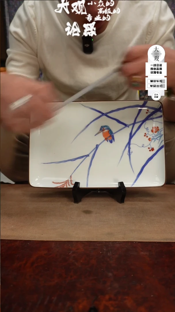 【闪购商品】瓷片大观论器赏盘
