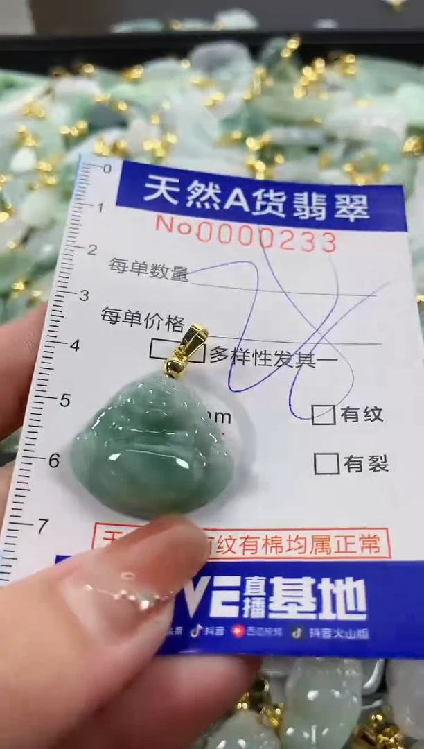 颈饰未镶嵌翡翠天然A货翡翠