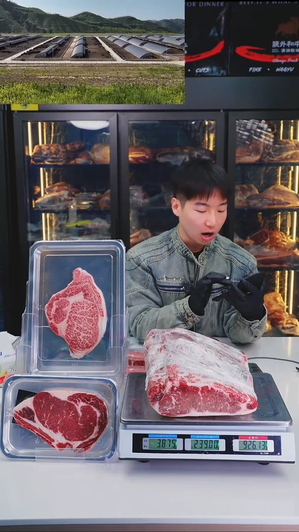 24中国大陆礼盒眼肉西冷上脑肥牛 牛小排 500g  牛腩