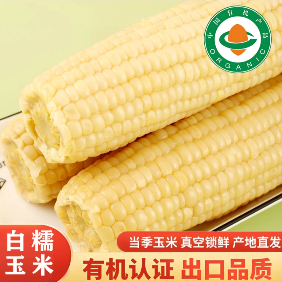 【恋糯】有机白甜糯玉米软糯香甜黏玉米真空包装低脂代餐10根/2600g