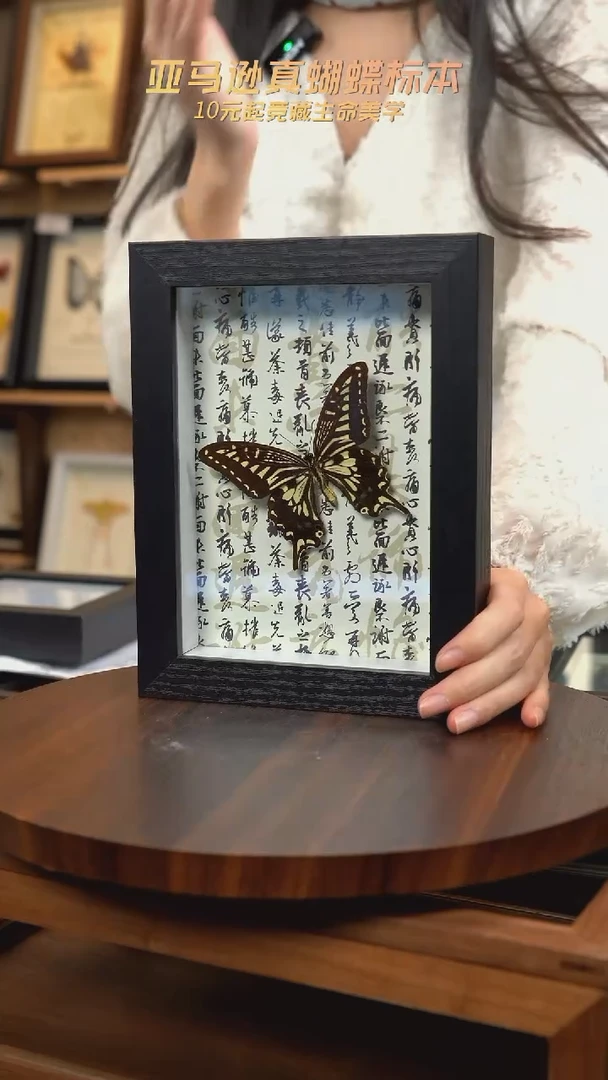 柑橘凤蝶7寸书法版