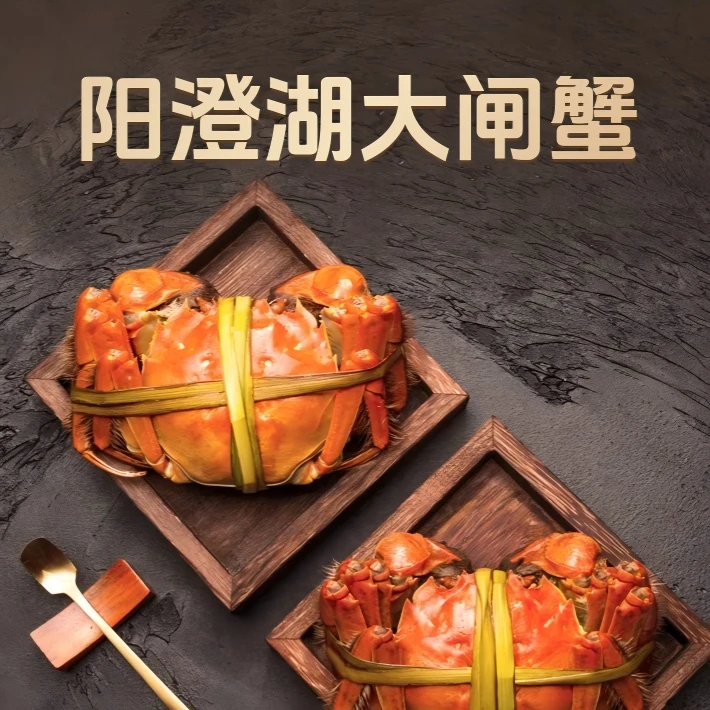 【活蟹】 阳澄湖大闸蟹 全公蟹5.0两 共4只 高标准养殖塘蟹