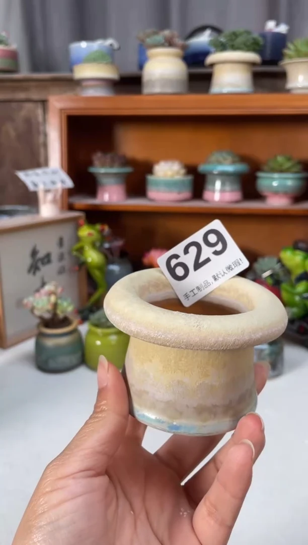 瓷片629小芳直播编号