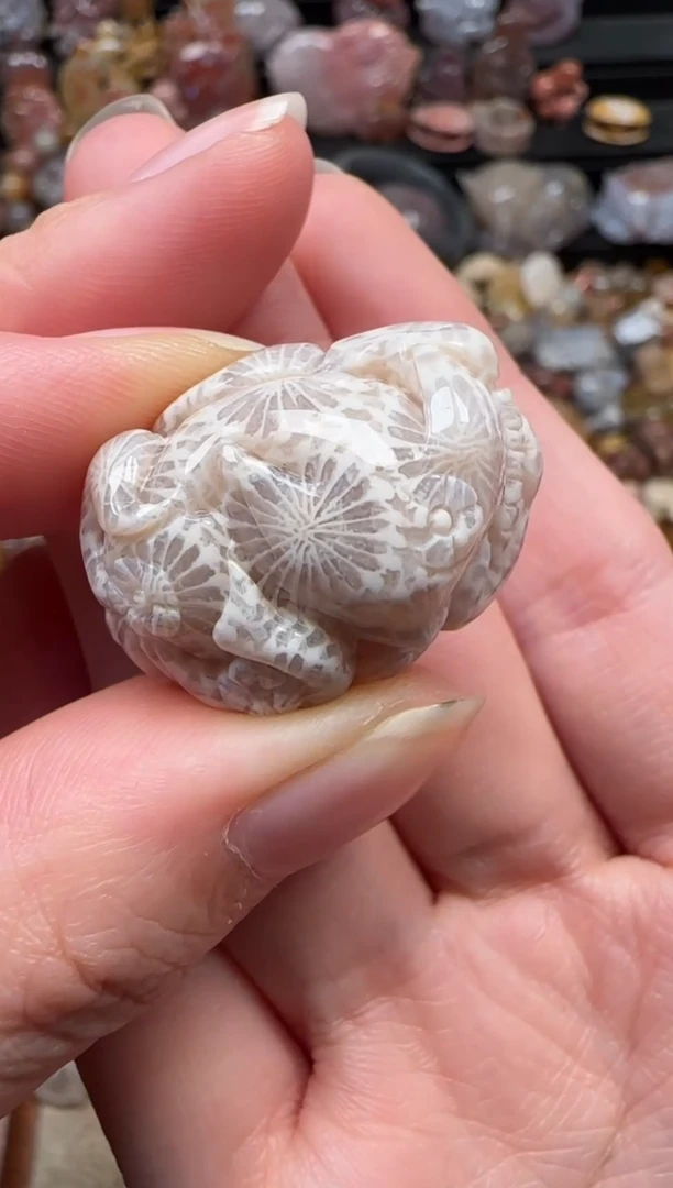 颈饰未镶嵌硅化珊瑚（珊瑚玉）149