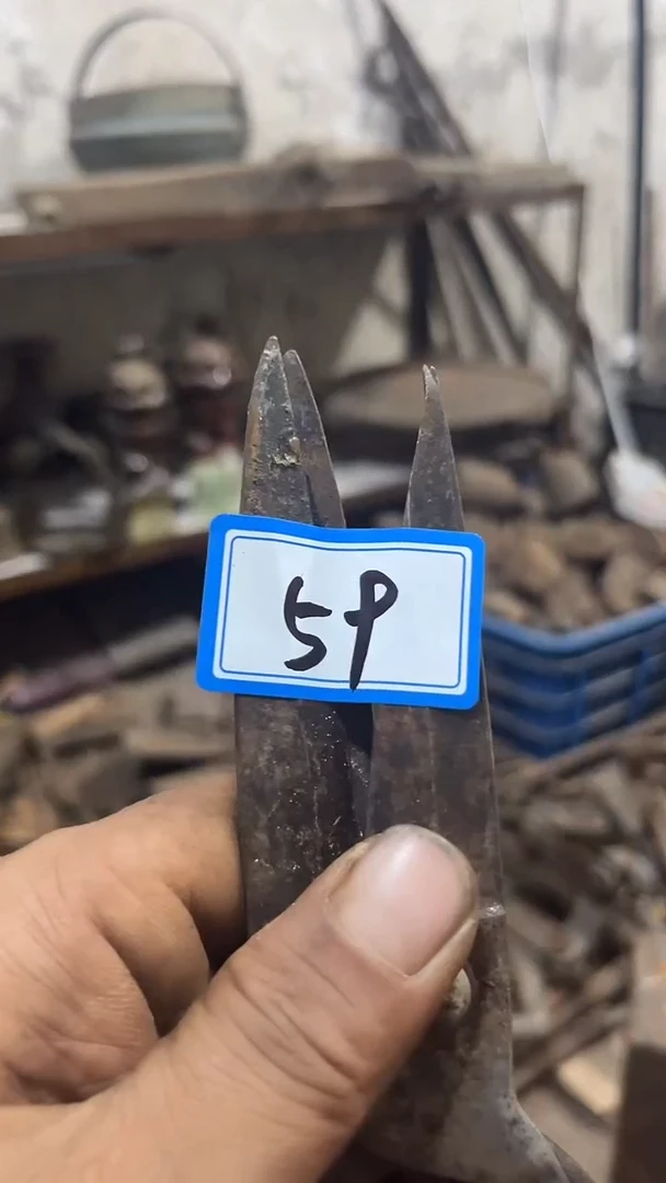 自*哥隆江直播新人带货
