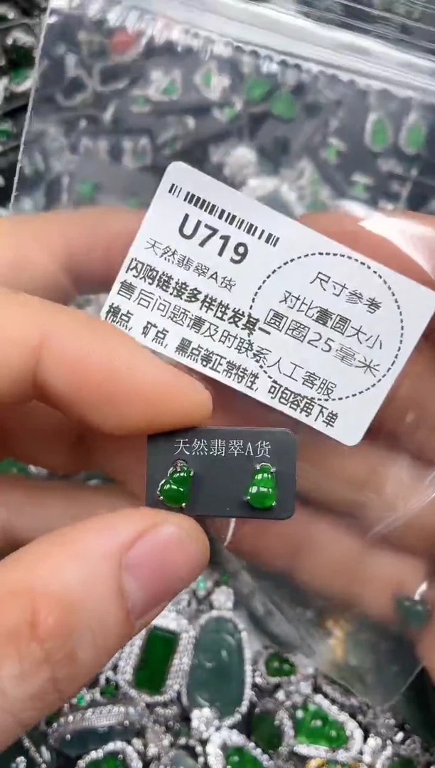 颈饰未镶嵌翡翠U719耳钉