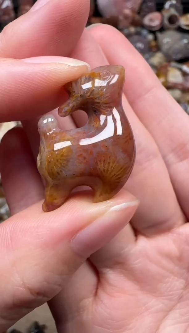 颈饰未镶嵌硅化珊瑚（珊瑚玉）367