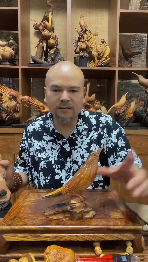 松木君*兰 定向 君子兰