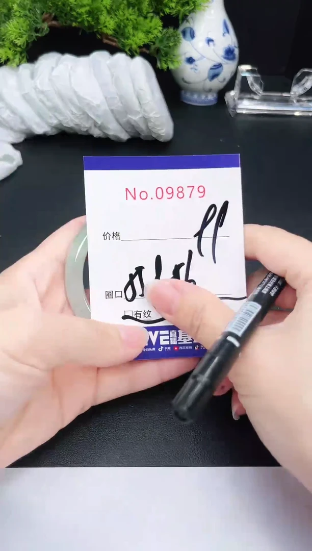 未镶嵌手镯翡翠9879