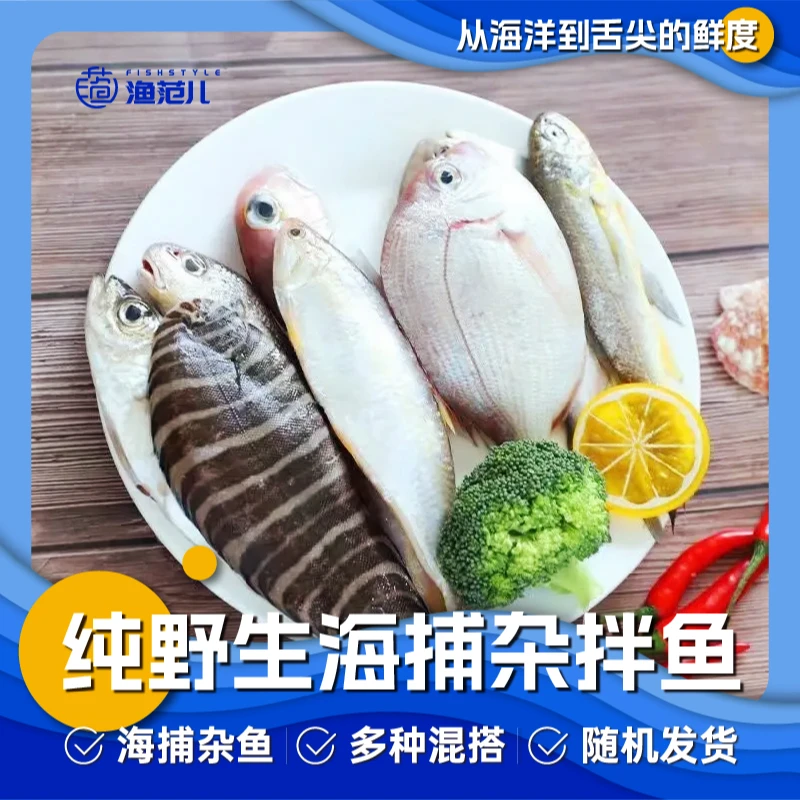 舟山纯野生海捕杂拌鱼多种鱼品类随机组合发货海鲜盲盒500g*4包JH