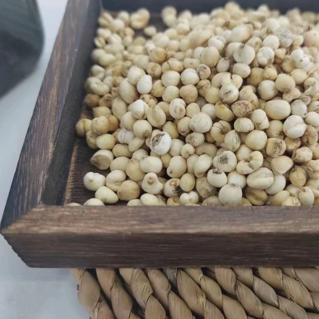 高端严选好物 100克 贝母