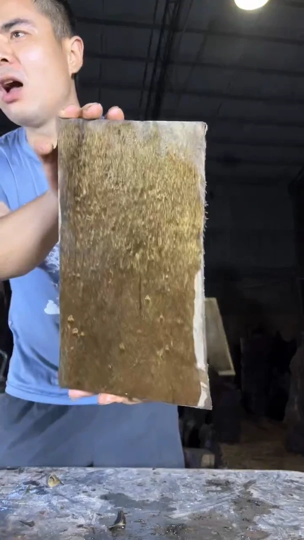 金丝楠金丝楠小叶桢楠4