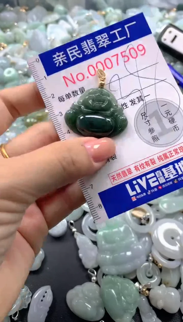 颈饰未镶嵌翡翠7509