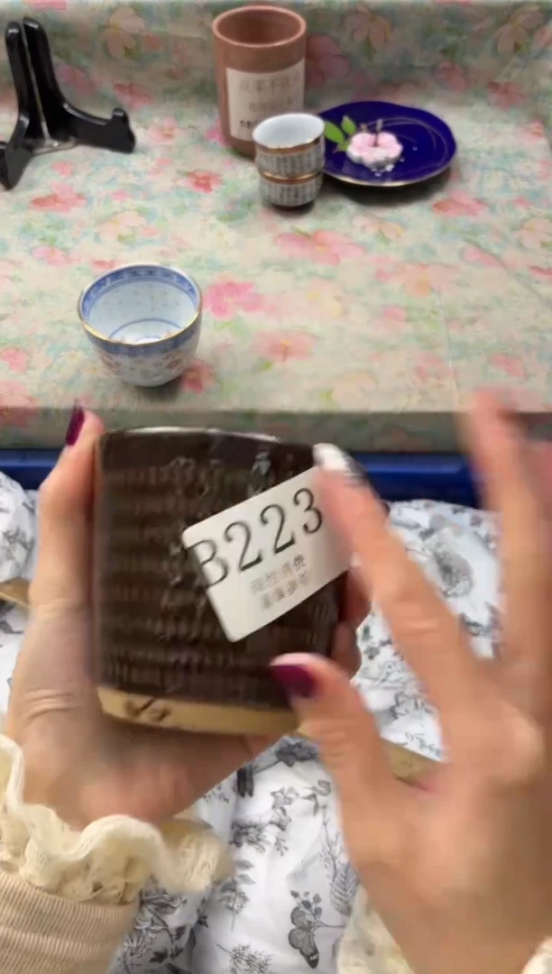 瓷片胖*       B223