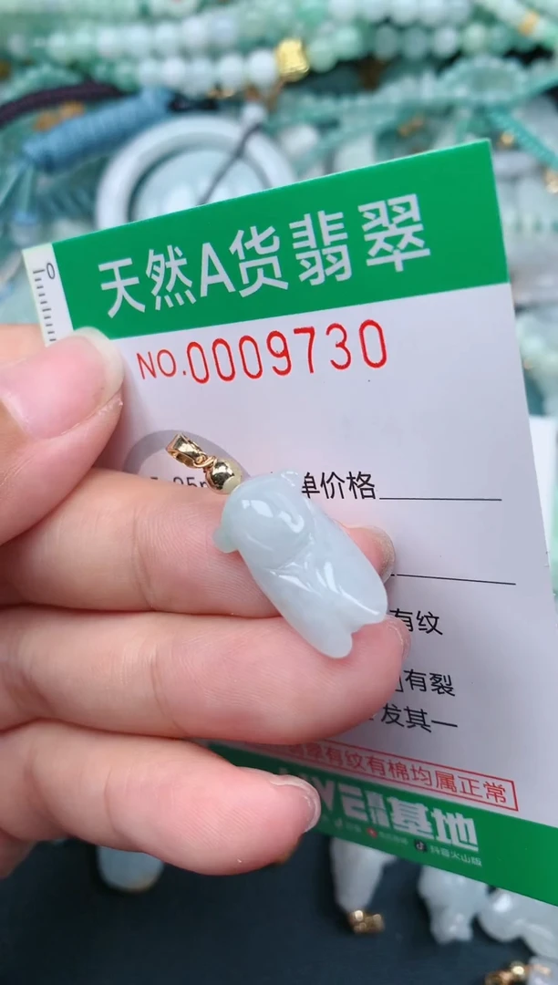 翡翠未镶嵌颈饰.0009730