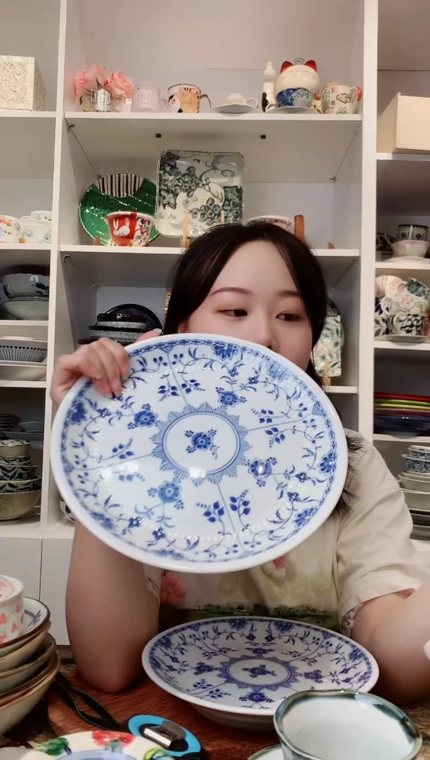 陶瓷【清仓】bloom青花大盘24.5cm