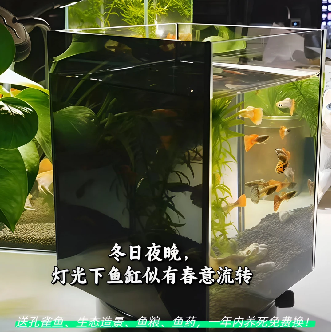 小型超白玻璃生态鱼缸可用于客厅桌面办公桌上养鱼
