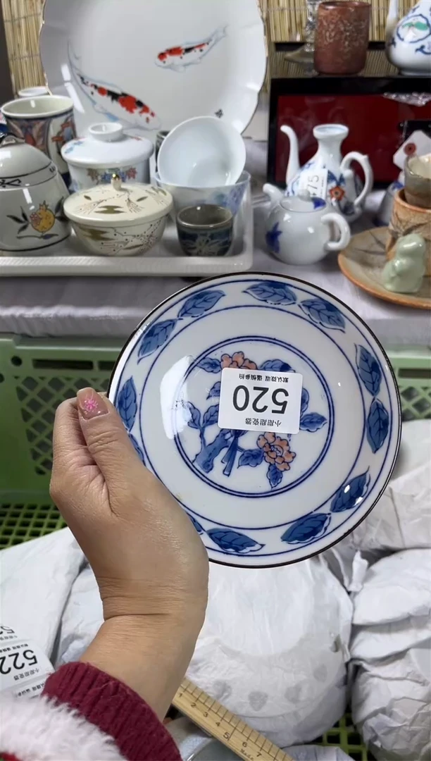 【闪购商品】碟               520