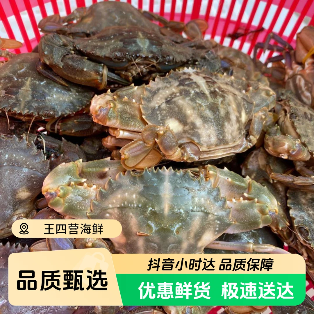 鲜活野生花盖蟹，斤数可选，保鲜不包活