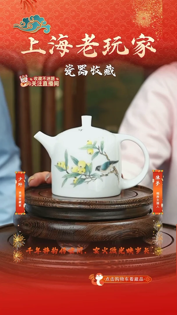 壶涂海波-10号 茶壶