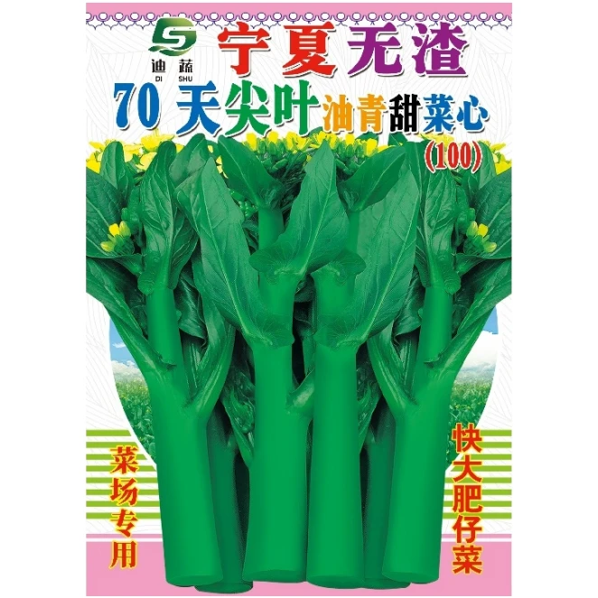 菜心种子100*宁夏无渣70天尖叶油青甜菜心（约400g）种籽