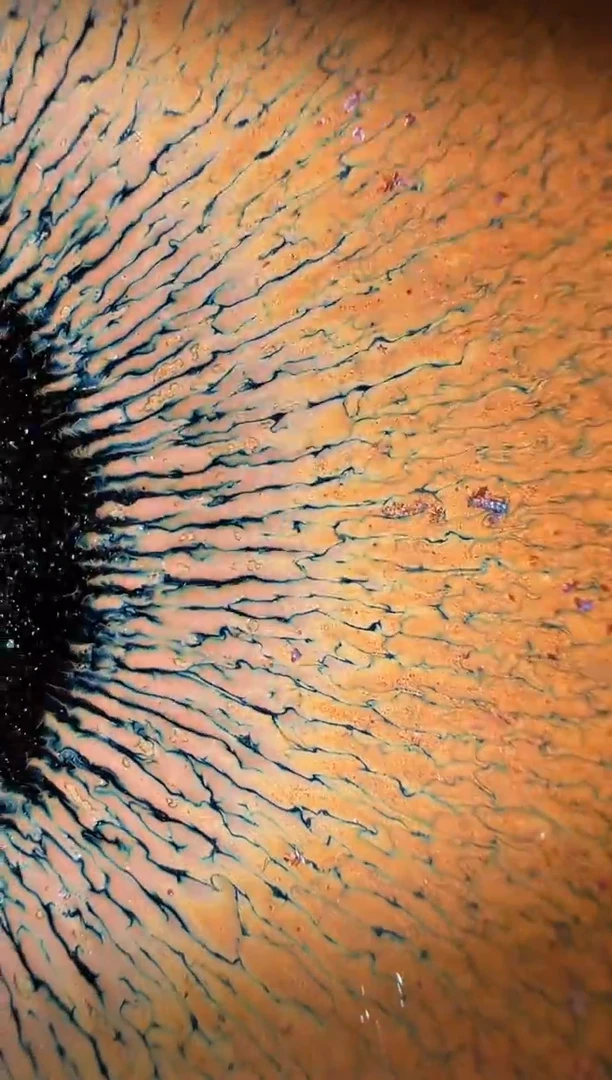 茶盏老表精选柴烧14