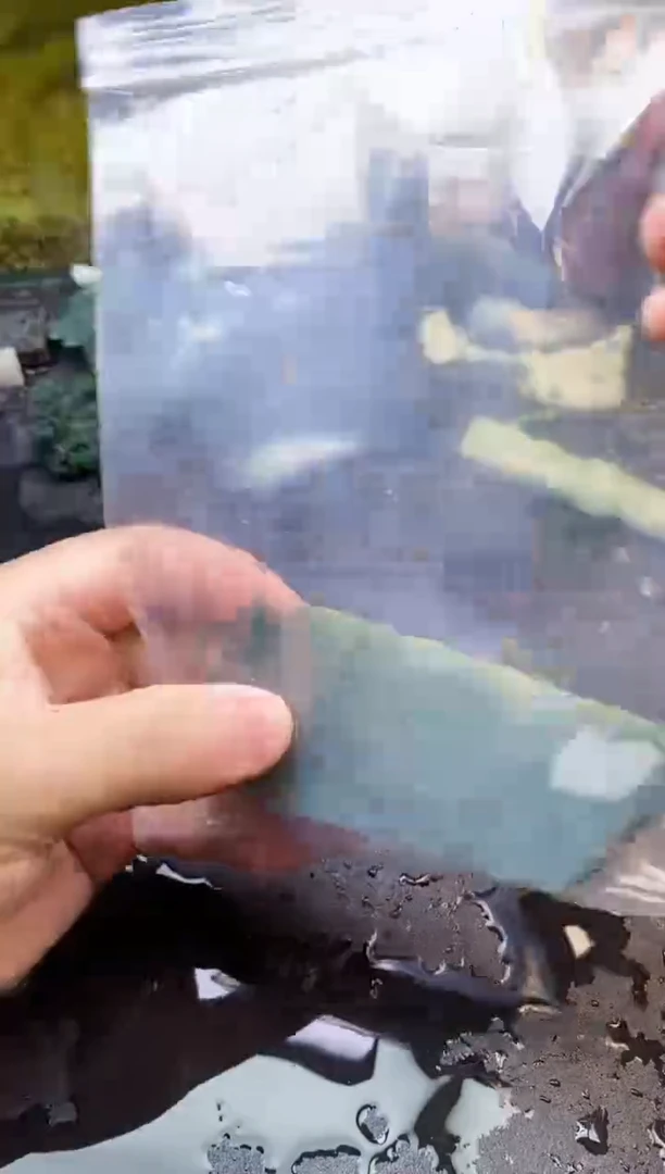 【闪购商品】翡翠颈饰未镶嵌173天然翡翠