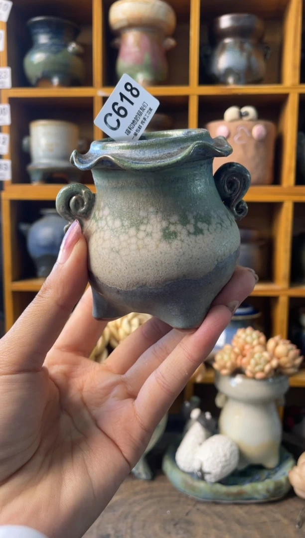 618内口4【多肉花盆多肉盆】