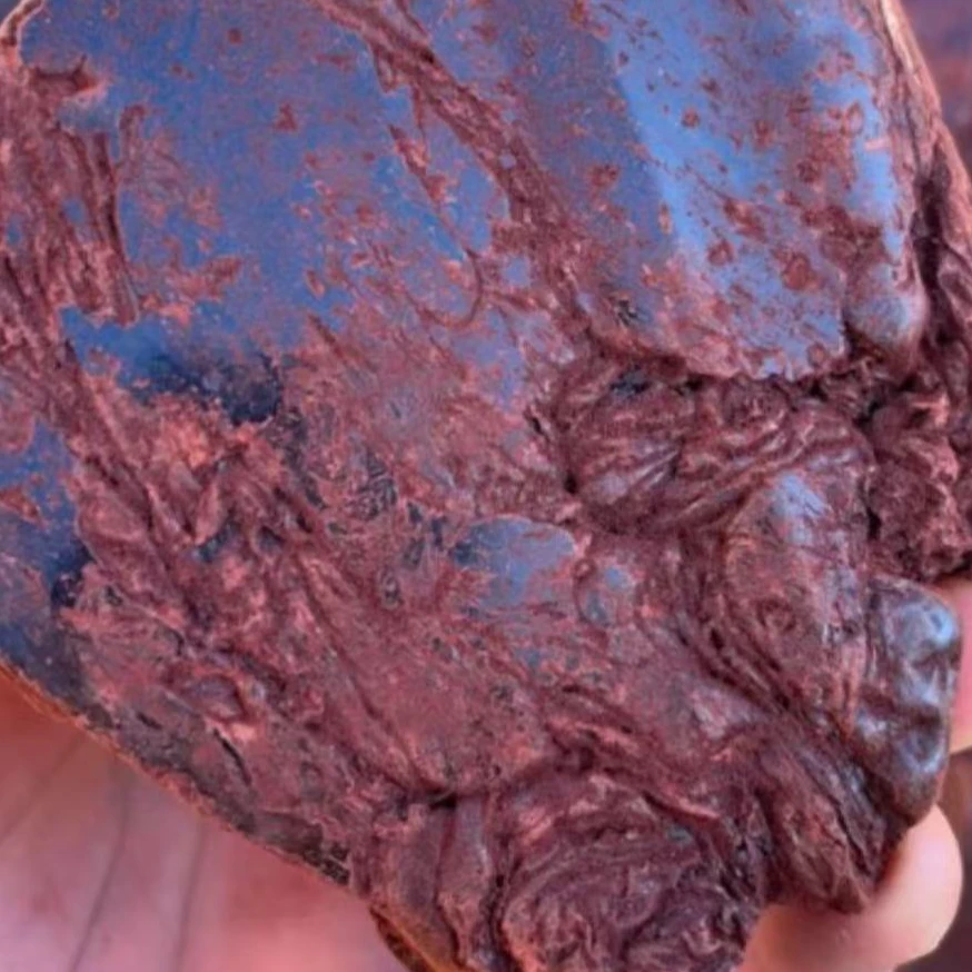 【大山甄选龙皿】竭/土特产 100g   W