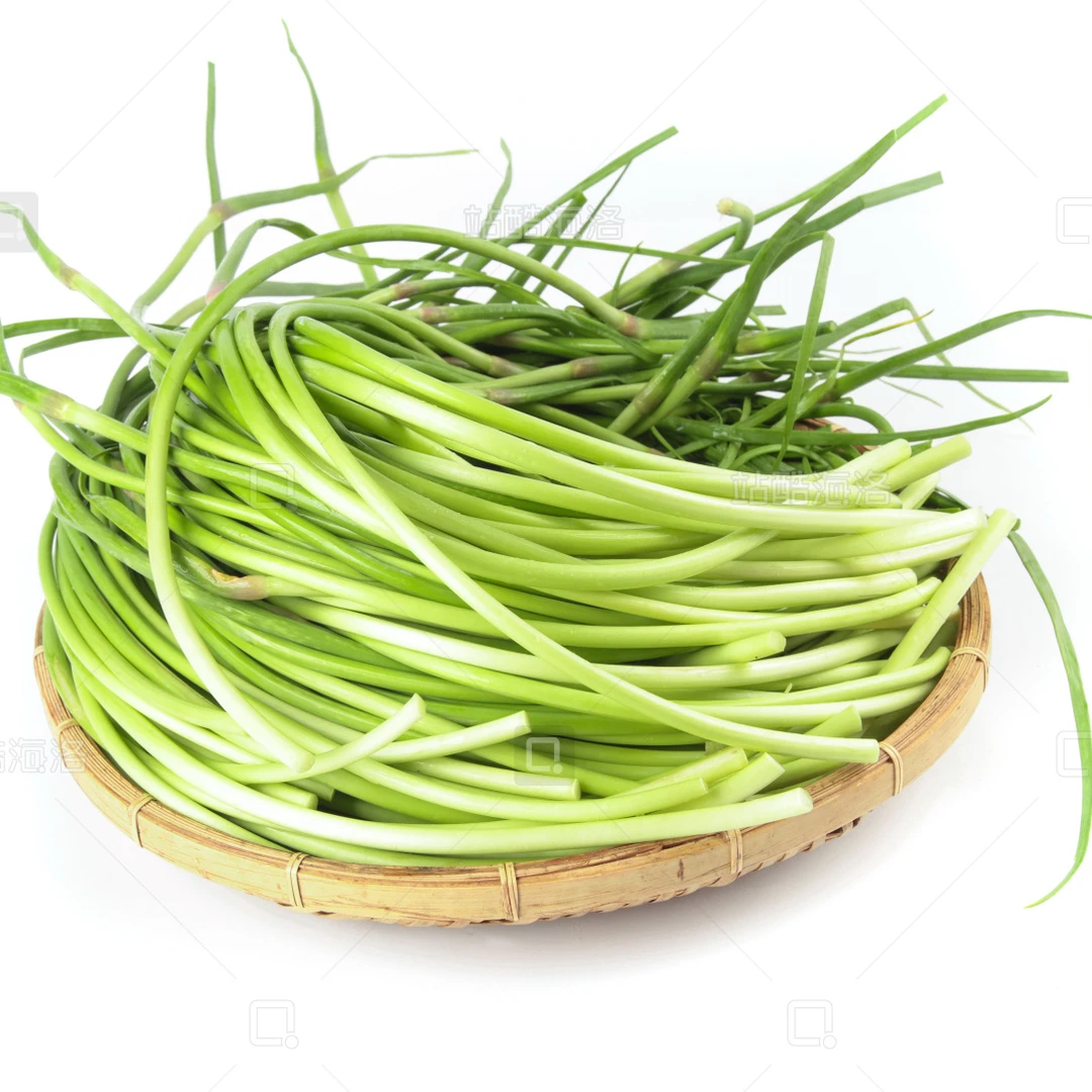 【助农小李专属】农家自种蒜苔现摘现发新鲜脆嫩5斤