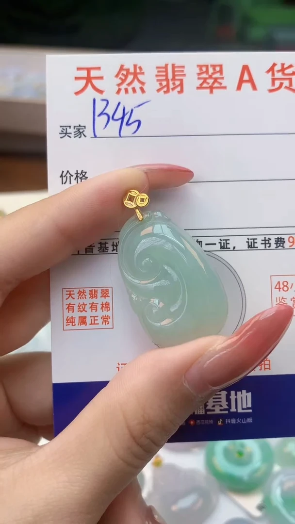 颈饰未镶嵌翡翠天然A货翡翠挂件