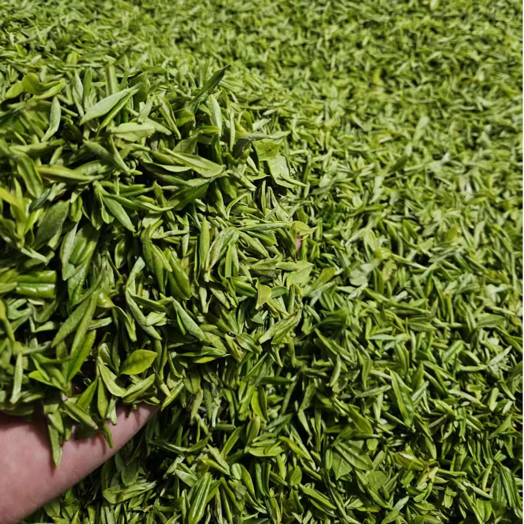 永川秀芽2025头采绿茶。鲜爽回甘，回味悠长