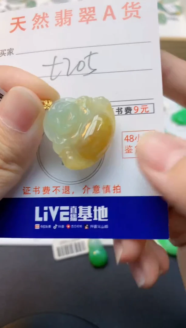 颈饰18K金镶嵌翡翠天然缅甸A货翡翠百元以上9元证书费自理