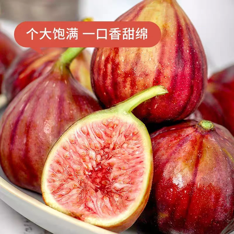 【达吾水果】精品无花果大果12枚三盒特惠尝鲜装(同城骑手配送到家)