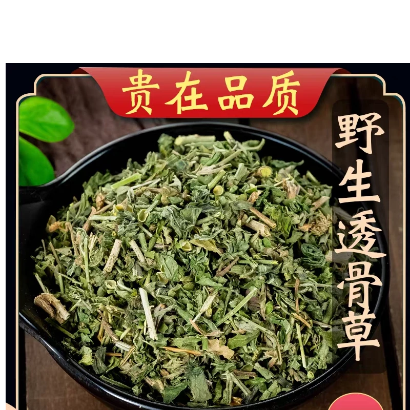 透骨草野生 无硫磺珍珠透骨草泡脚 特级珍珠透骨草泡茶非西洋参