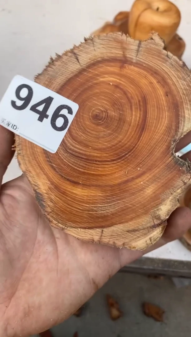 柏木（崖柏）太行崖柏切片一块（津诚林）