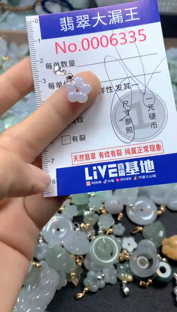 翡翠未镶嵌吊坠(不含链)6335