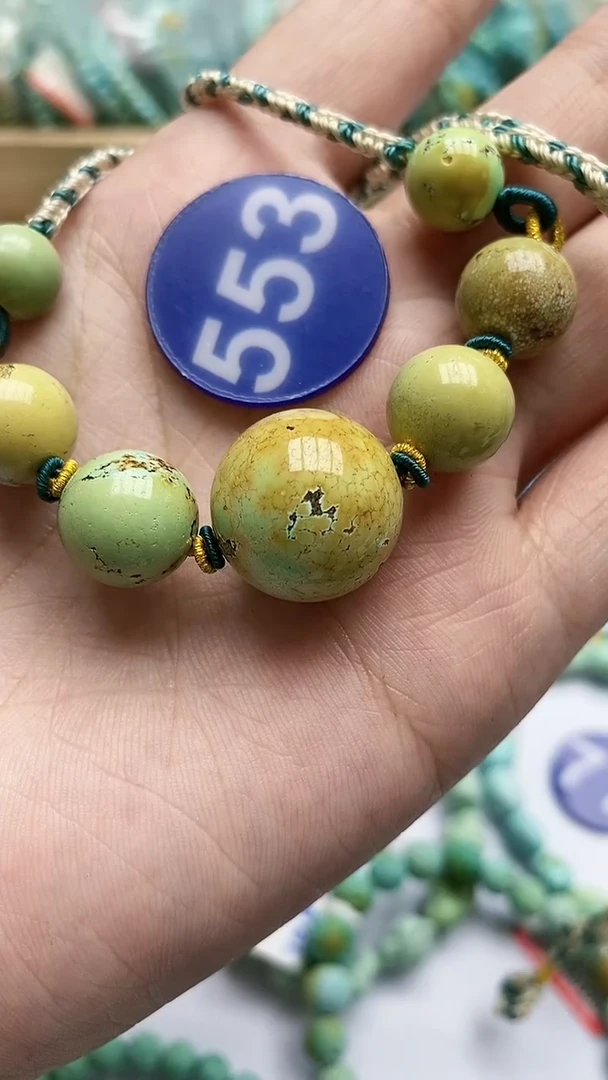 【闪购商品】绿松石项链未镶嵌553