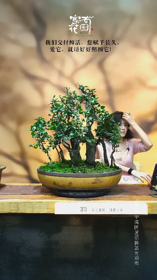 无花朵用****3家有花田-老桩金弹子