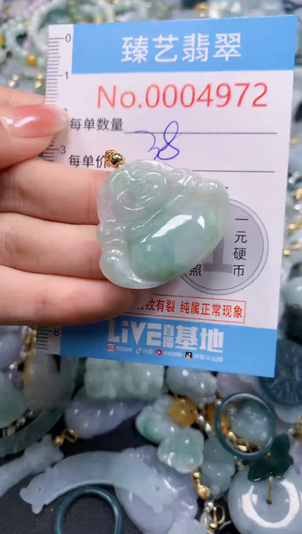 颈饰未镶嵌翡翠4972