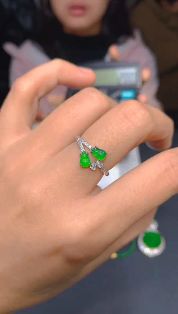 【闪购商品】定制翡翠未镶嵌175多样性发货（发其一）