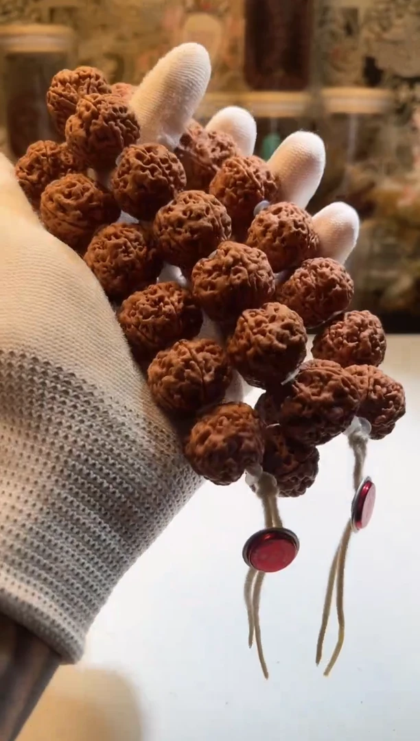 手串金刚菩提福利大金刚古龙梅花手串【拒绝差评】
